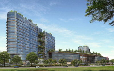 Woods square img